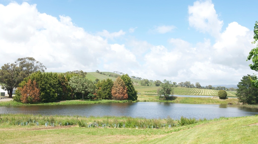 St Hubert's Winery/Vineyards. Great wine! Yarra Valley is like the Napa Valley in CA. So many wineries to choose from!