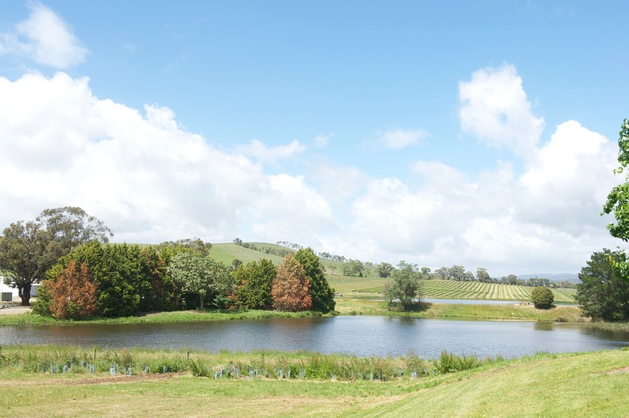 St Hubert's Winery/Vineyards. Great wine! Yarra Valley is like the Napa Valley in CA. So many wineries to choose from!