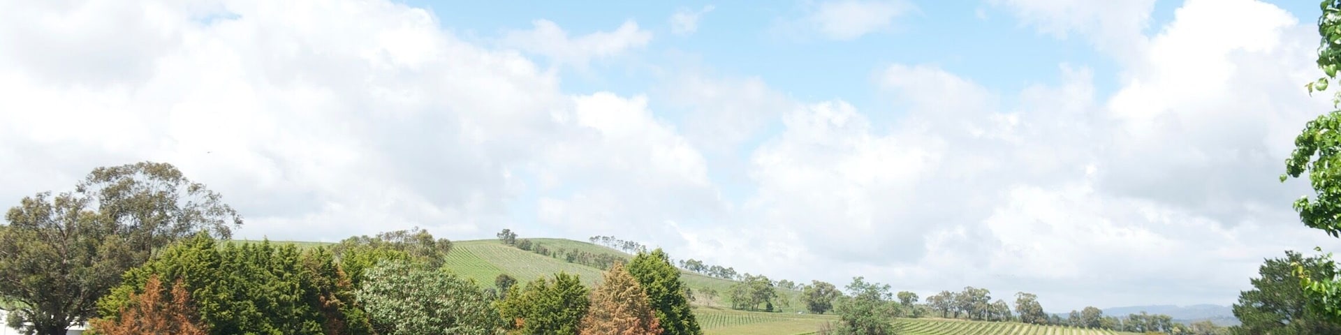 St Hubert's Winery/Vineyards. Great wine! Yarra Valley is like the Napa Valley in CA. So many wineries to choose from!