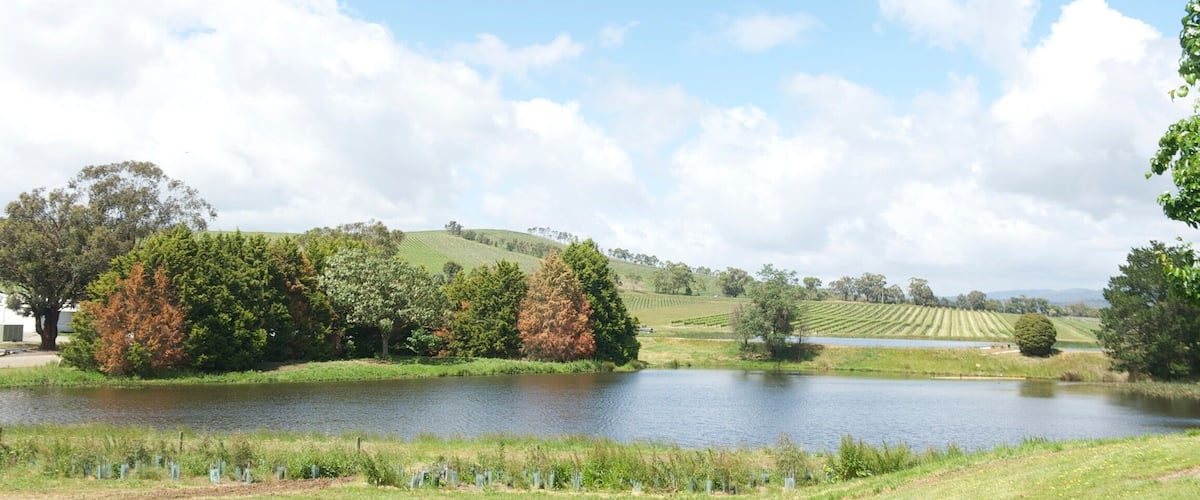 A lake surrounded by trees and fields under a clear sky.