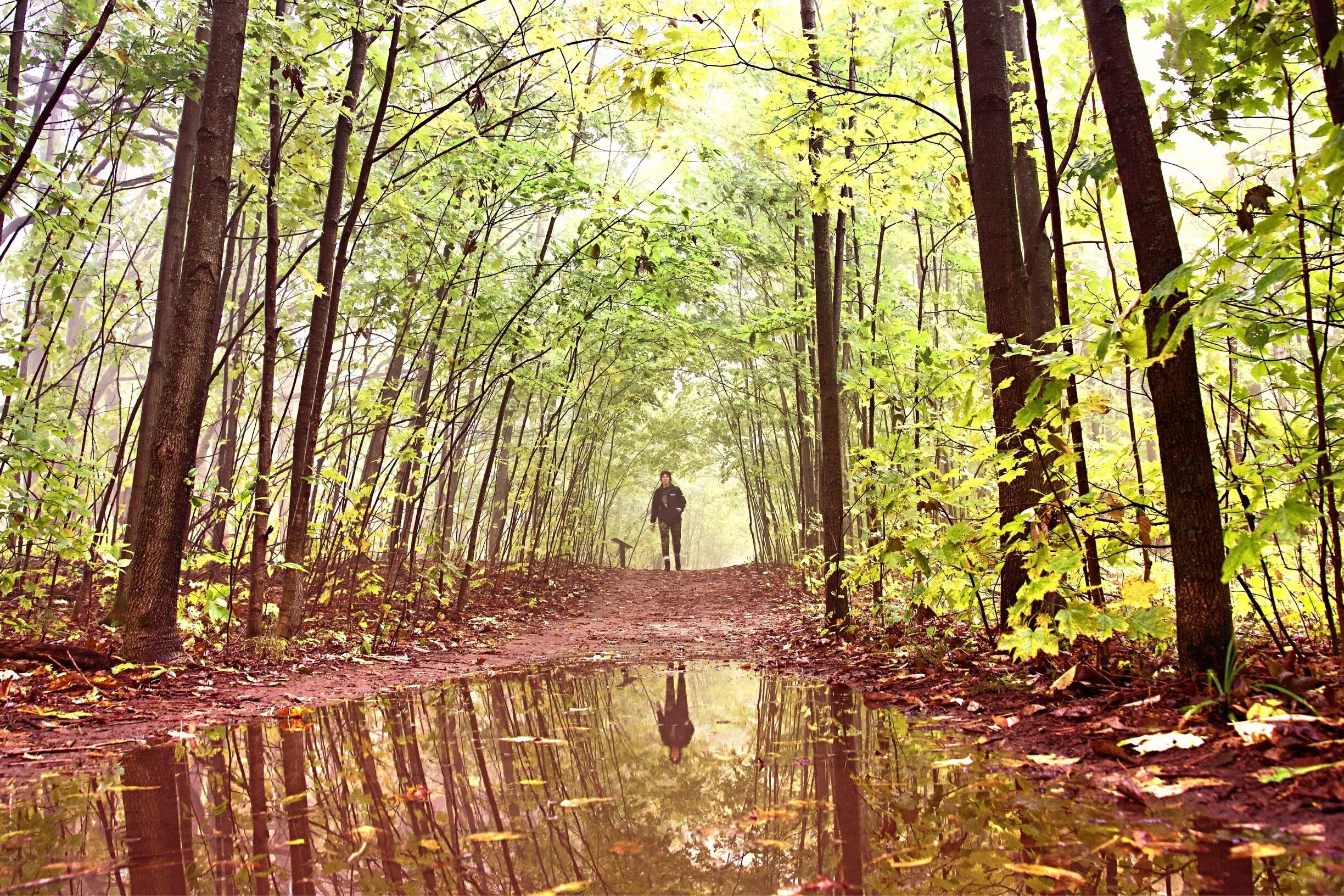 UNESCO World Biosphere Reserve: Niagara Escarpment
Popular Fall hiking at Bruce Trail along unique Niagara Escarpment, the section of Mono Cliff Provincial Park, Ontario, Canada.
#Canada #Ontario #reflection #fall #NiagaraEscarpment #autumn #MonoCliff #GreatOutdoors #hiking #BruceTrail