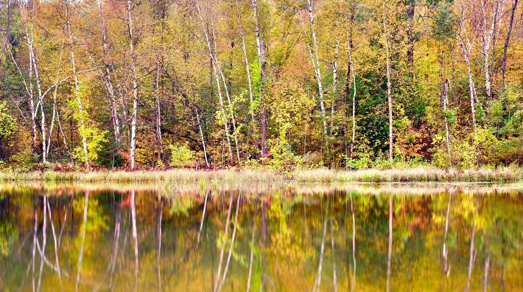 UNESCO World Biosphere Reserve: Niagara Escarpment
Falling in love with autumn. Popular Fall hiking at Bruce Trail along unique Niagara Escarpment, the section of Mono Cliff Provincial Park, Ontario, Canada.
#Canada #Ontario #reflection #fall #NiagaraEscarpment #autumn #MonoCliff #GreatOutdoors