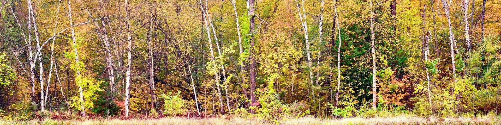 UNESCO World Biosphere Reserve: Niagara Escarpment
Falling in love with autumn. Popular Fall hiking at Bruce Trail along unique Niagara Escarpment, the section of Mono Cliff Provincial Park, Ontario, Canada.
#Canada #Ontario #reflection #fall #NiagaraEscarpment #autumn #MonoCliff #GreatOutdoors