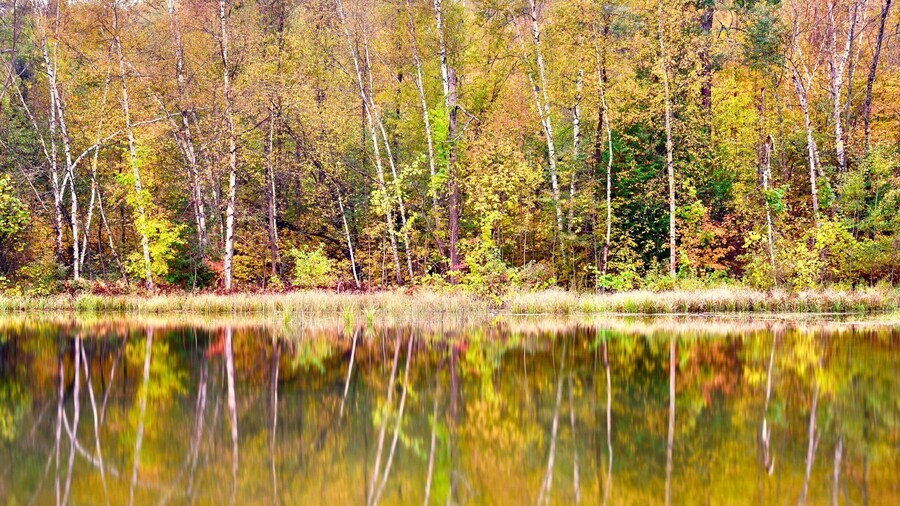UNESCO World Biosphere Reserve: Niagara Escarpment
Falling in love with autumn. Popular Fall hiking at Bruce Trail along unique Niagara Escarpment, the section of Mono Cliff Provincial Park, Ontario, Canada.
#Canada #Ontario #reflection #fall #NiagaraEscarpment #autumn #MonoCliff #GreatOutdoors