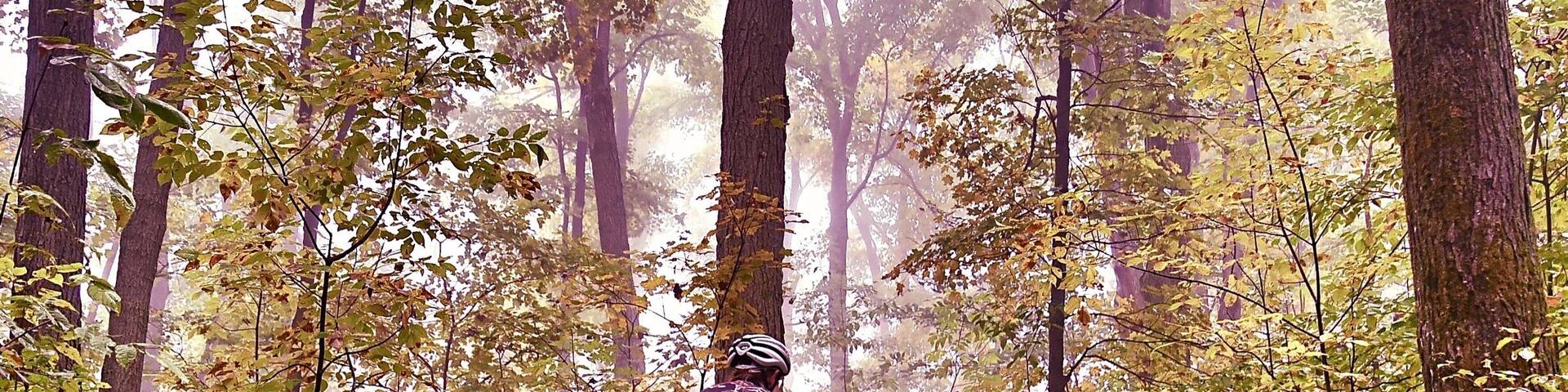 UNESCO World Biosphere Reserve: Niagara Escarpment
Fall mountain biking at Bruce Trail along unique Niagara Escarpment, the section of Mono Cliff Provincial Park, Ontario, Canada.
#Canada #Ontario #fall #NiagaraEscarpment #autumn #MonoCliff #GreatOutdoors #forest #biking
