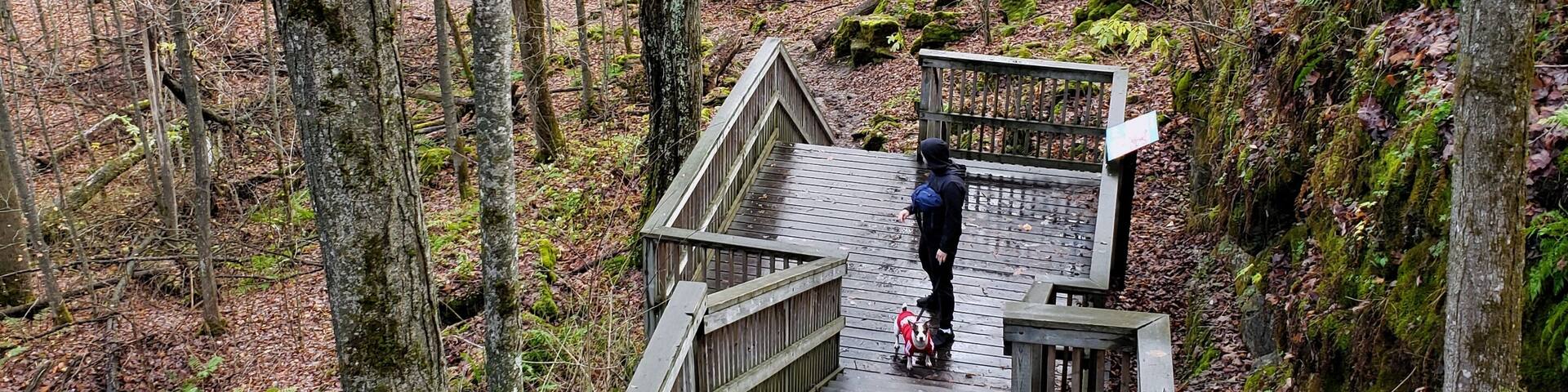 End of fall season 🍂