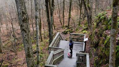 End of fall season 🍂