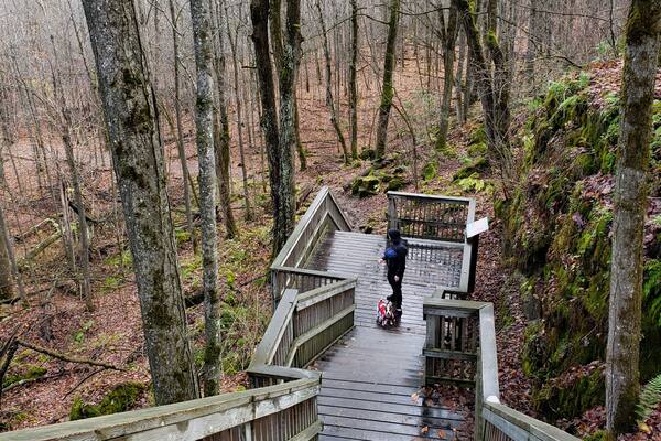 End of fall season đ