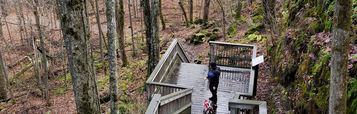 End of fall season 🍂