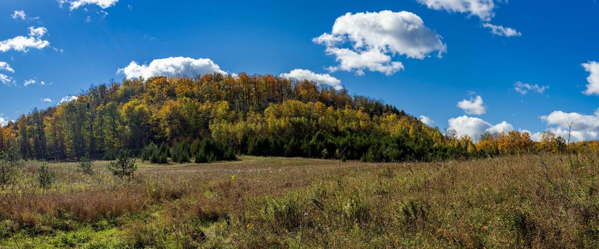 A hill with autumn foliage under a clear blue sky.