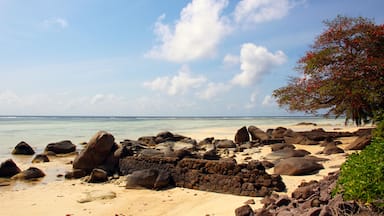 A rocky beach with large boulders and a clear blue sky.