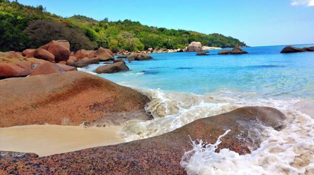 the perfect beach. calm blue water, bright blue skies. soft warm sand.
#lifeatexpedia #paradise #isthisreallife #praslin #seychelles