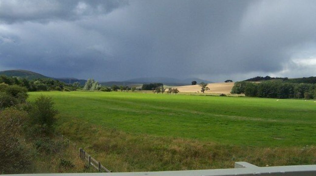 Field with mountains in background Taken from A697 road towards the wet Cheviot Hills.