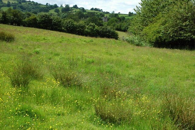 Tower of Pencelli church The tower of Pencelli church viewed from the Usk Valley Walk in the adjoining grid square.