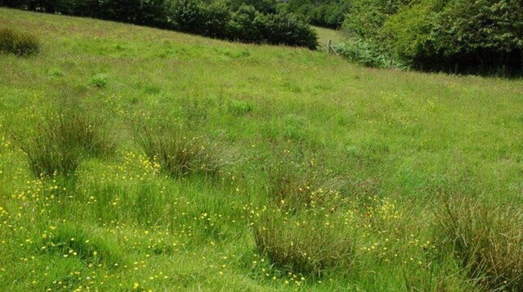 Tower of Pencelli church The tower of Pencelli church viewed from the Usk Valley Walk in the adjoining grid square.
