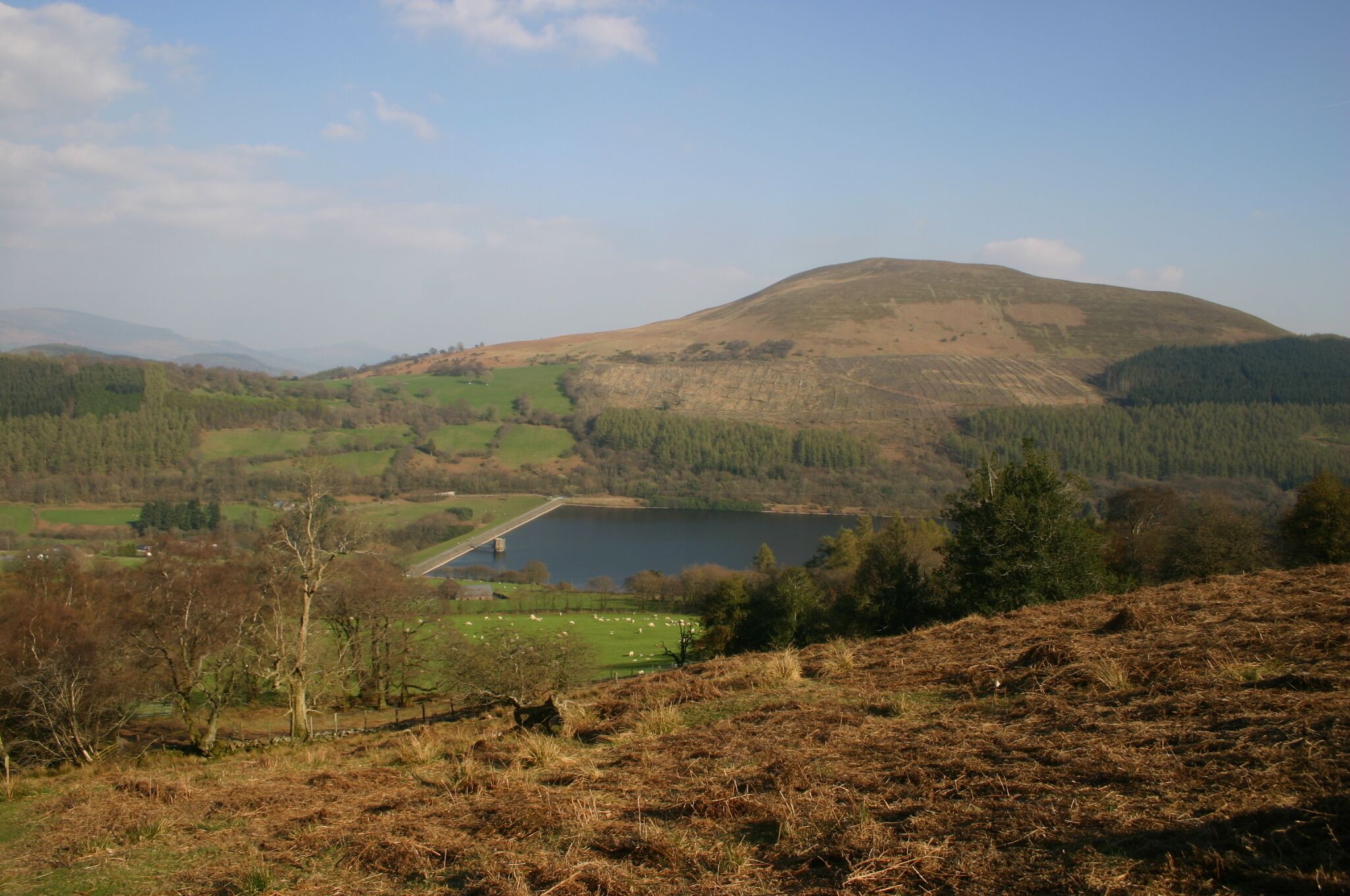 Path coming down from Twyn-Du Path coming down from Twyn-Du, with in the distance Talybont Reservoir and the peak of Tor y Foel.