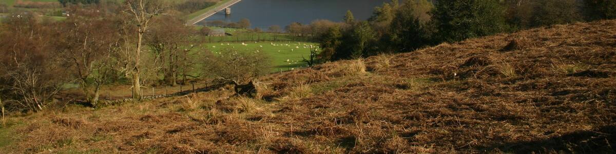 Path coming down from Twyn-Du Path coming down from Twyn-Du, with in the distance Talybont Reservoir and the peak of Tor y Foel.