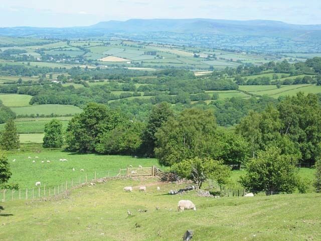 A green valley with sheep grazing, trees, and distant hills.