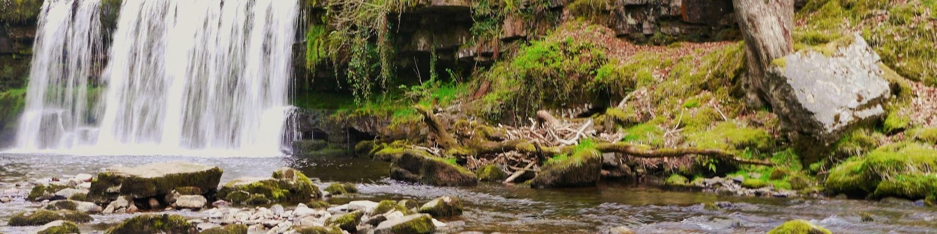 A waterfall cascading over moss-covered rocks in a forested area.