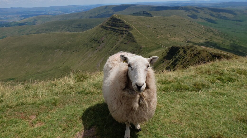 Brecon Beacons National Park simply belongs to those. #greatoutdoors