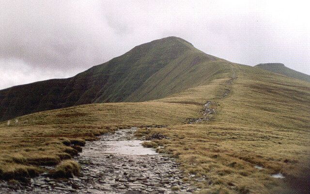 A grassy hillside with a stream running through it.