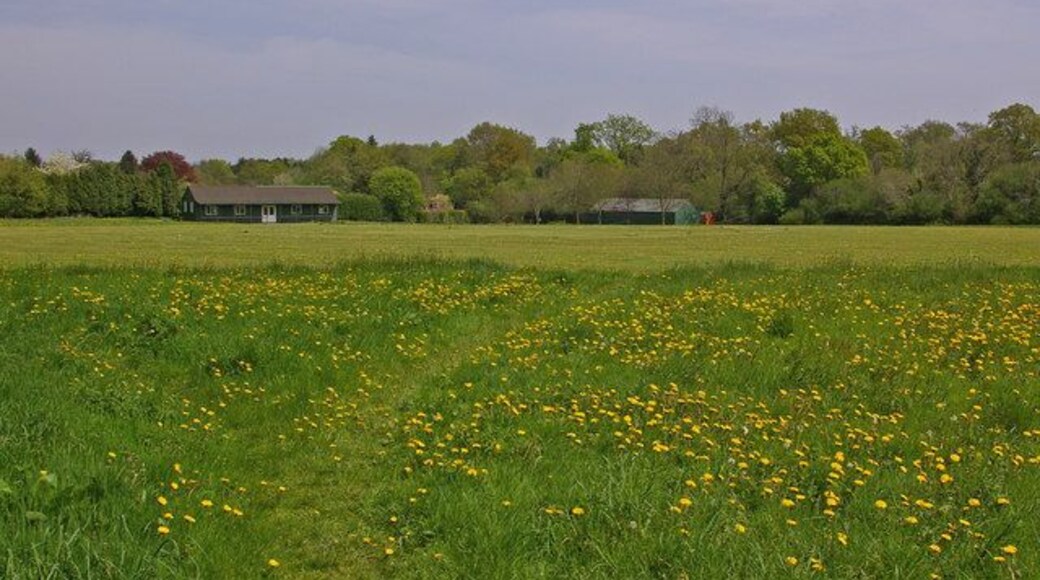 Six Brothers Field. National Trust owned and home of Chaldon Cricket Club. For story behind the name see 48358.
