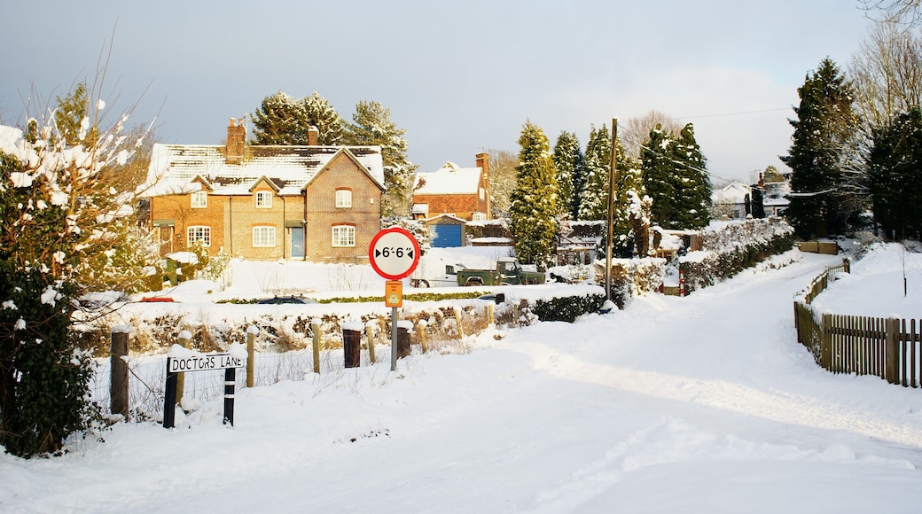 Doctors Lane, Chaldon, Surrey Looking up Doctors Lane, from the junction with Church Lane.