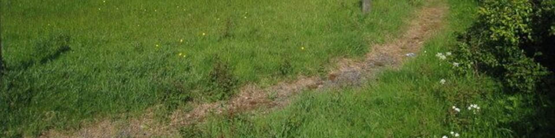 Field near Whitepost Farm