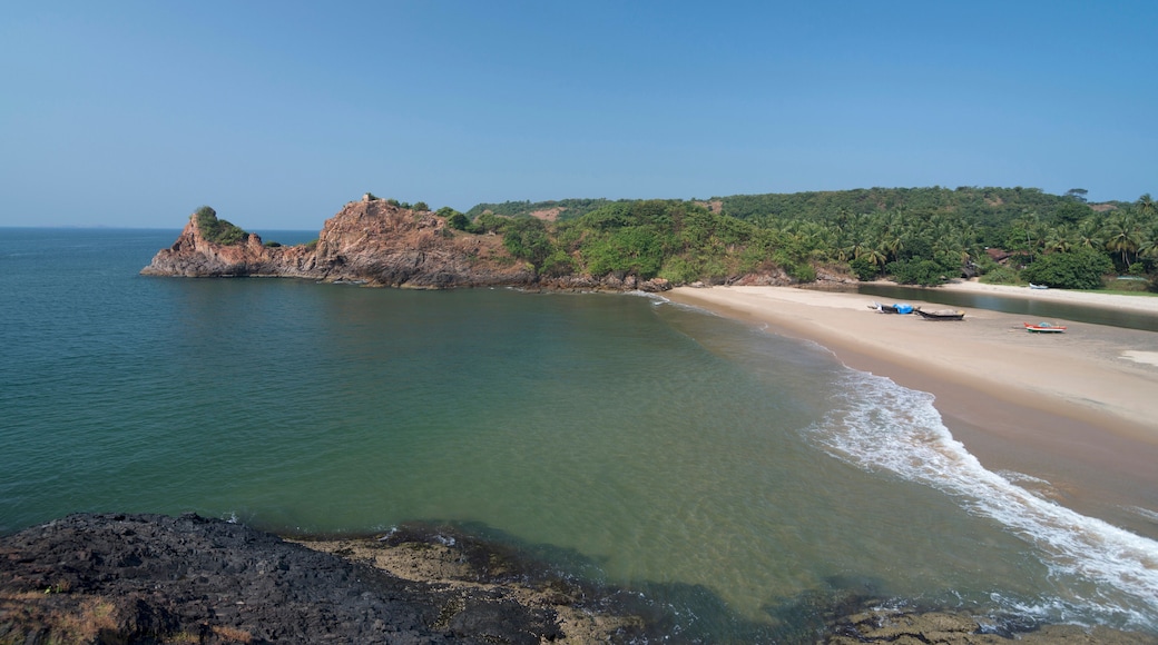 ตาร์การ์ลี