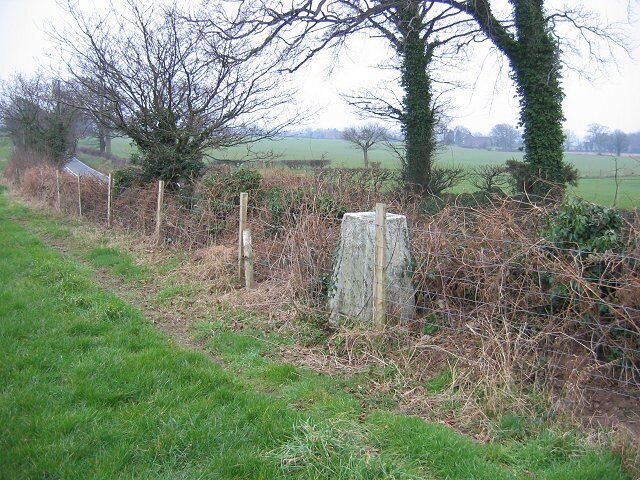 A rural landscape with a fence, a tree, and a signpost.