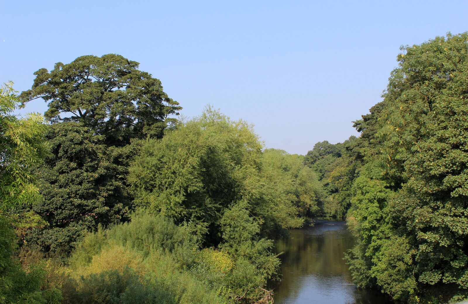 River Nidd from Walshford Bridge