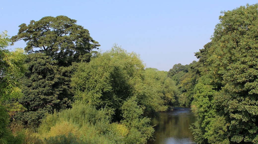 River Nidd from Walshford Bridge