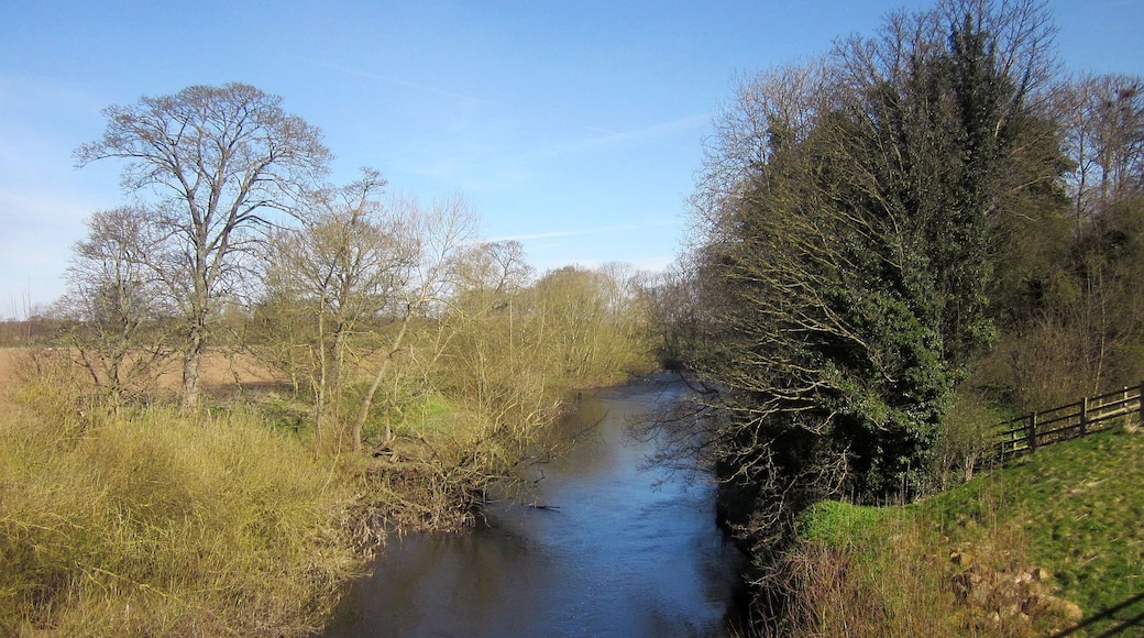 River Nidd at Walshford Bridge