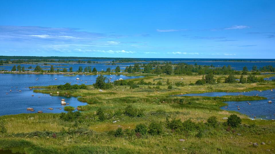 A landscape with a large body of water, numerous small islands, and a forested area.