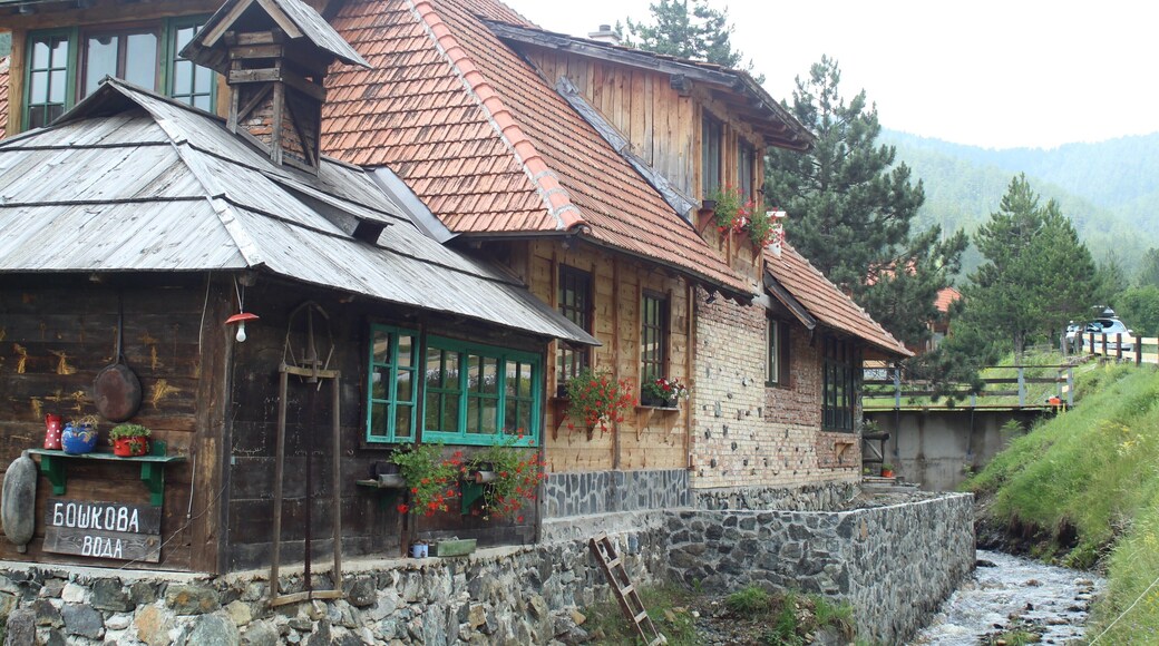 Mountain Zlatibor and its surroundings are a pearl in the tourism of Serbia. Must visit waterfalls, caves and ethno villages to try local specialties.
#Trovember