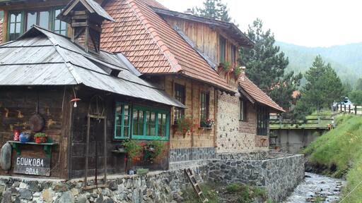 Mountain Zlatibor and its surroundings are a pearl in the tourism of Serbia. Must visit waterfalls, caves and ethno villages to try local specialties.
#Trovember