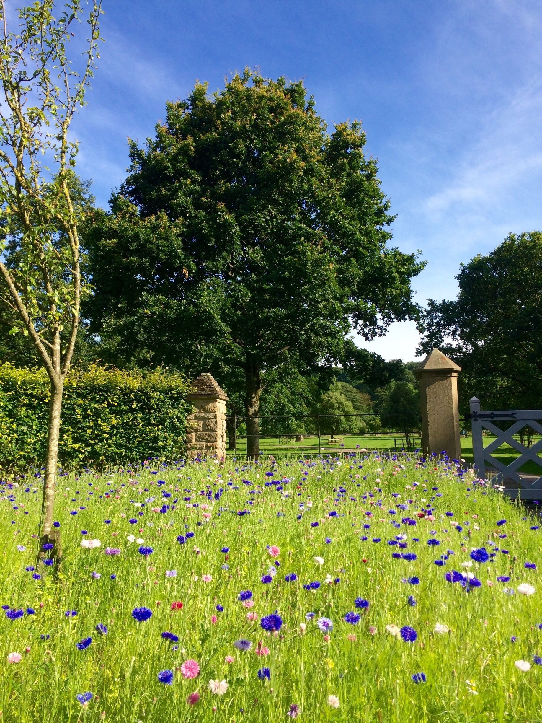 Driving home on a perfect summer afternoon 