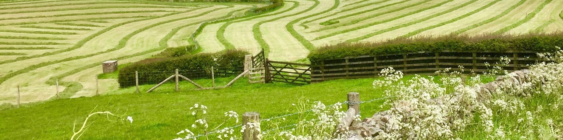 Siloing in Quernmore Valley