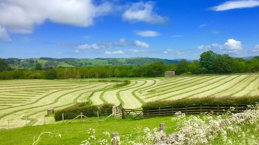 Siloing in Quernmore Valley