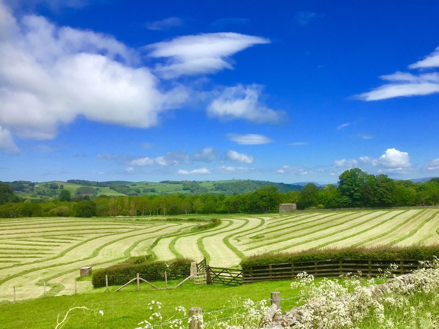 Siloing in Quernmore Valley