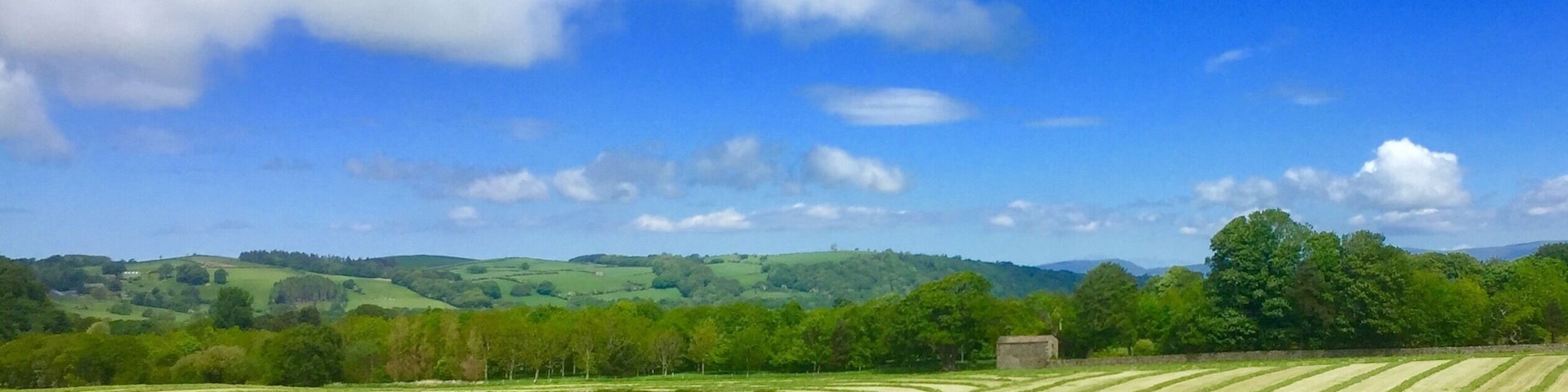 Siloing in Quernmore Valley
