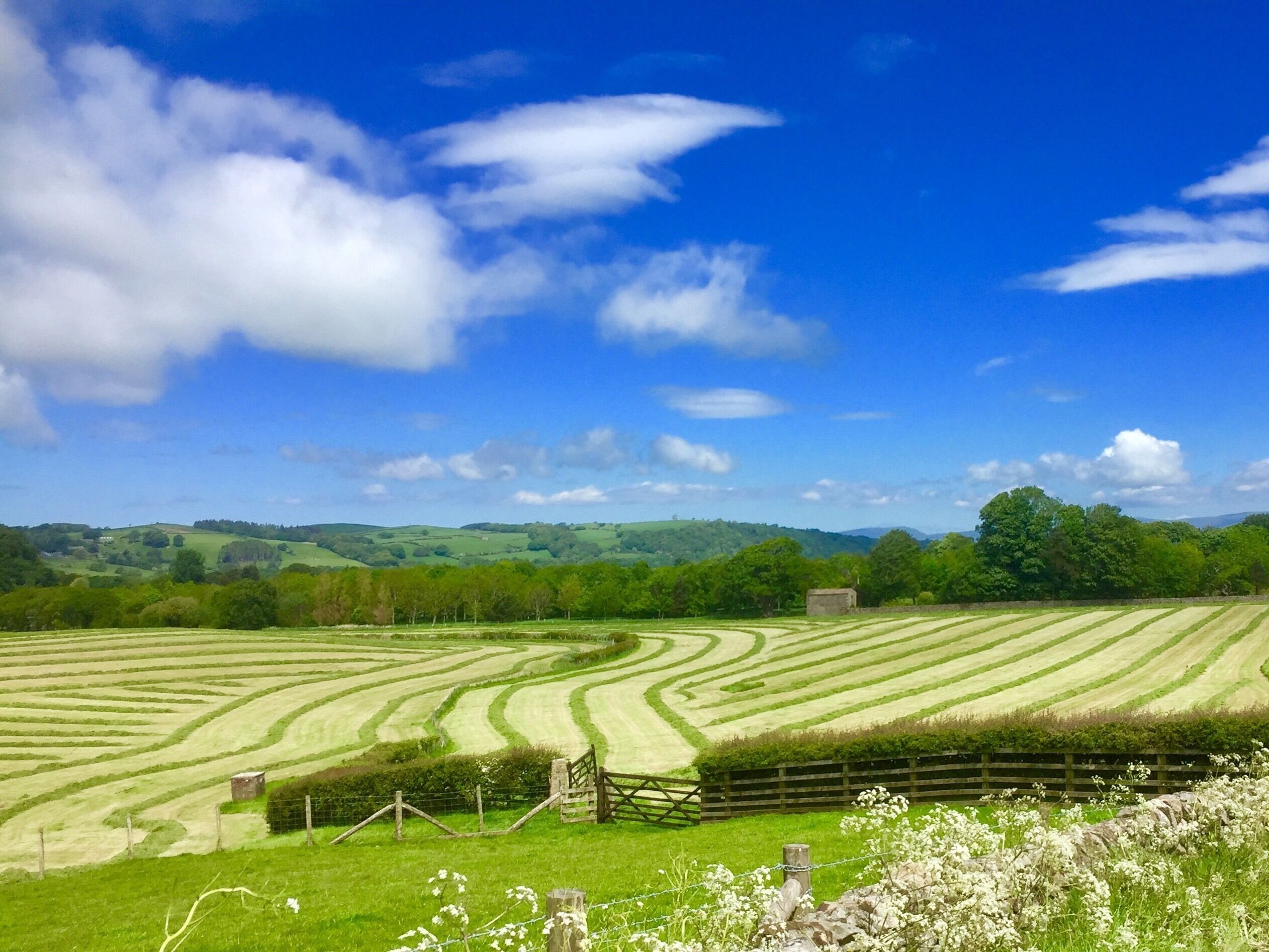 A rural landscape with terraced fields, a wooden fence, and rolling hills in the background.