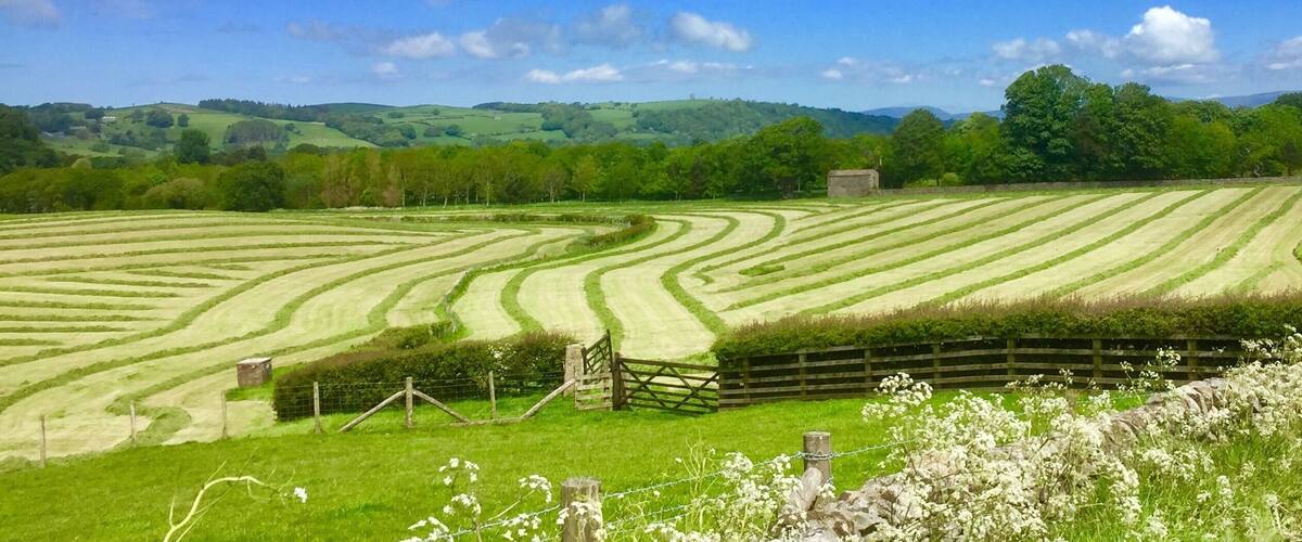 A rural landscape with terraced fields, a wooden fence, and rolling hills in the background.