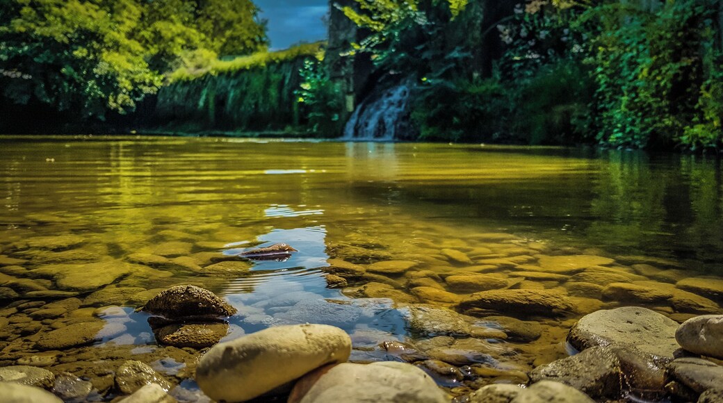 An abandoned mill. A lovely location!