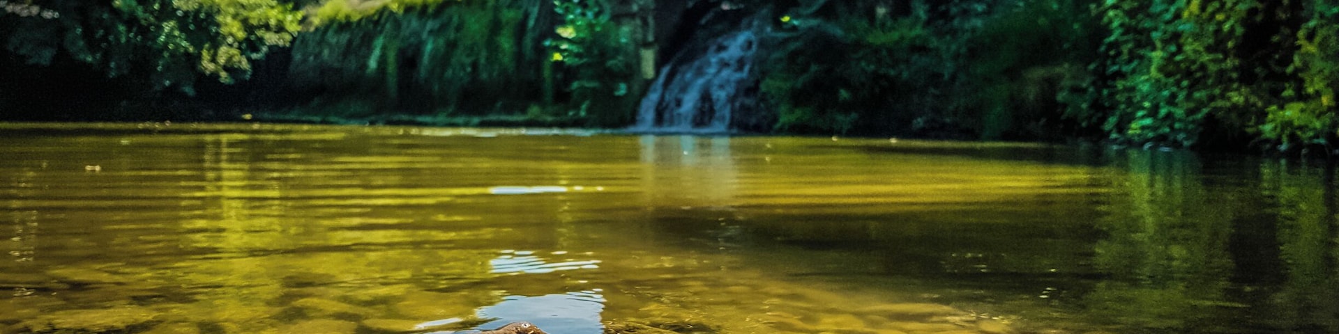 An abandoned mill. A lovely location!