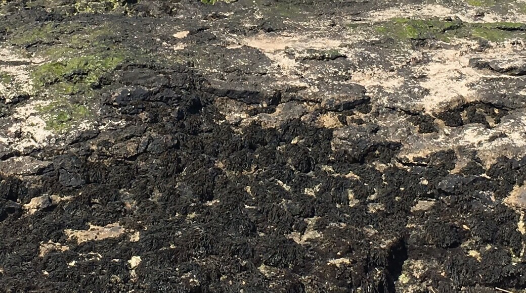 Cliffs near the light house