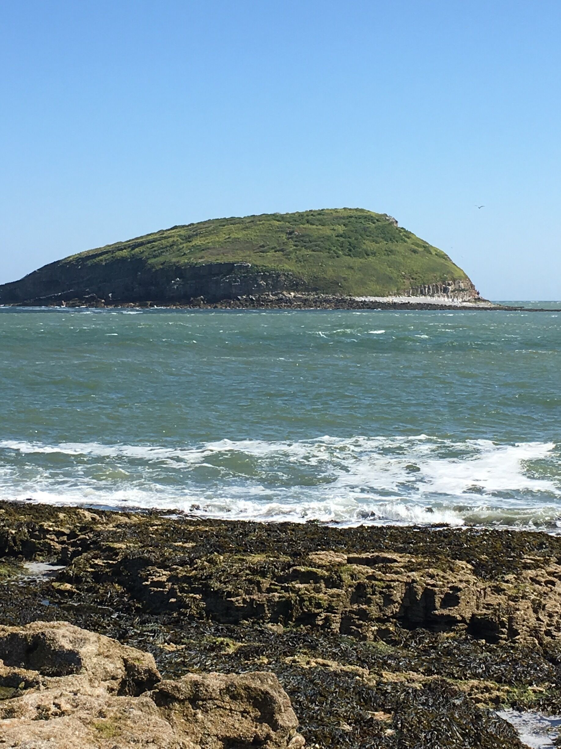 Puffin Island 