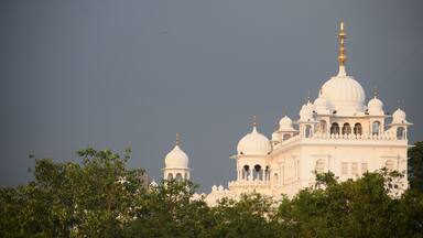 A white building with multiple domes and golden spires, surrounded by trees.