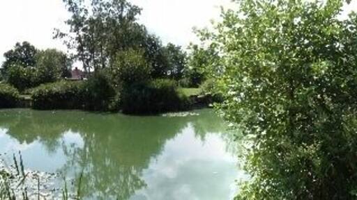 Tottenhill fishing lake. A panoramic view of the fishing lake at Tottenhill.