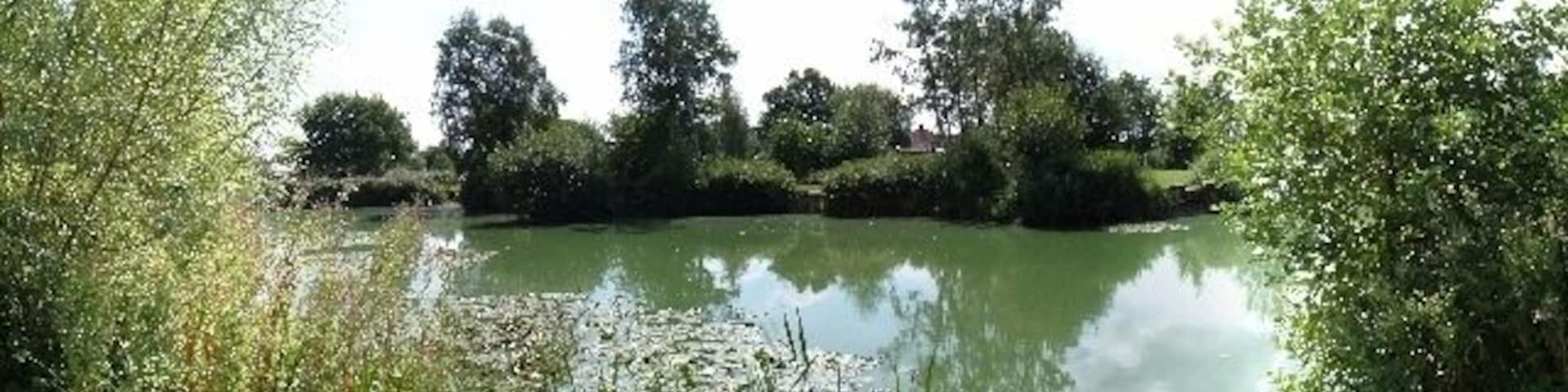 Tottenhill fishing lake. A panoramic view of the fishing lake at Tottenhill.